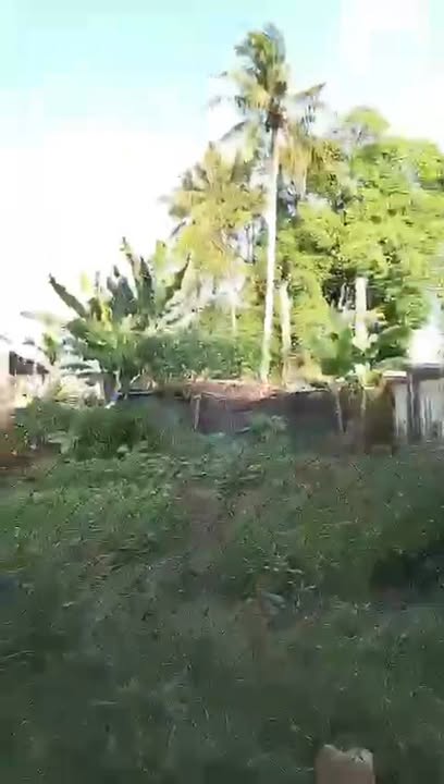 Đất nền An Phú Quảng Ngãi 130m² giá 500 triệu - Cơ hội đầu tư hấp dẫn!