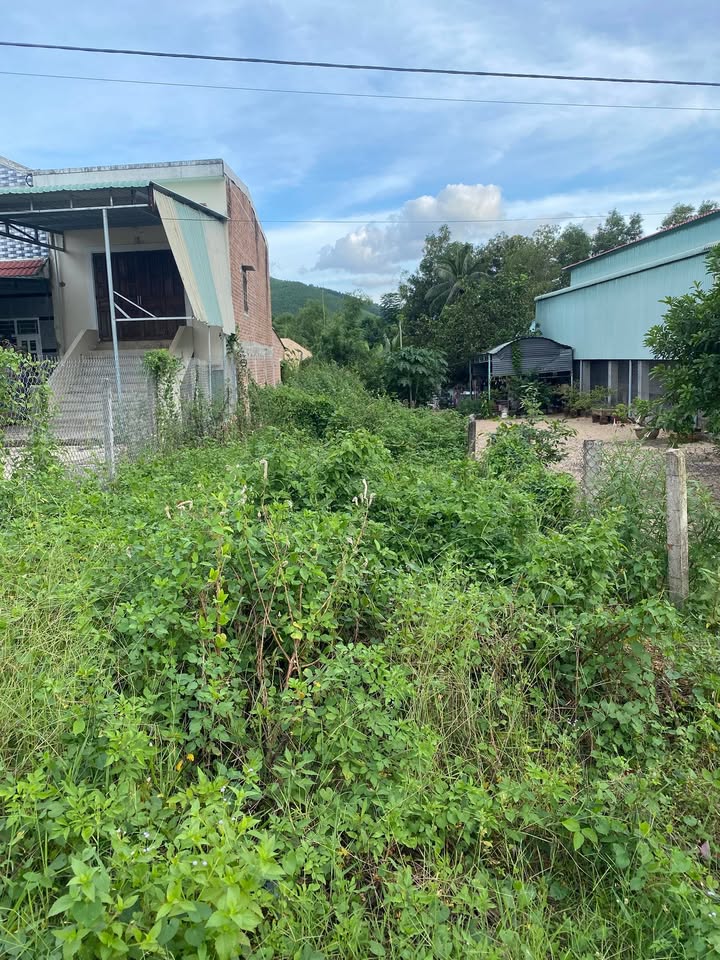 Đất nền Vân Canh 200m² giá thỏa thuận - Cơ hội đầu tư hấp dẫn!