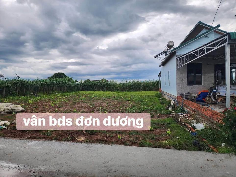 Đất nền Thạnh Mỹ Đơn Dương 140m² giá từ 695 triệu - Sổ hồng riêng từng nền!