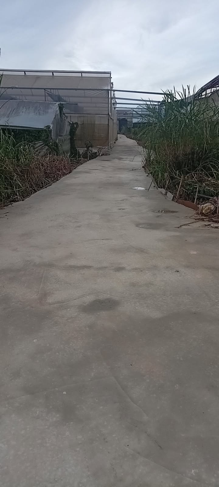 Đất nền Đà Lạt 66m² giá 600 triệu - Sổ đỏ chính chủ, vị trí đẹp!