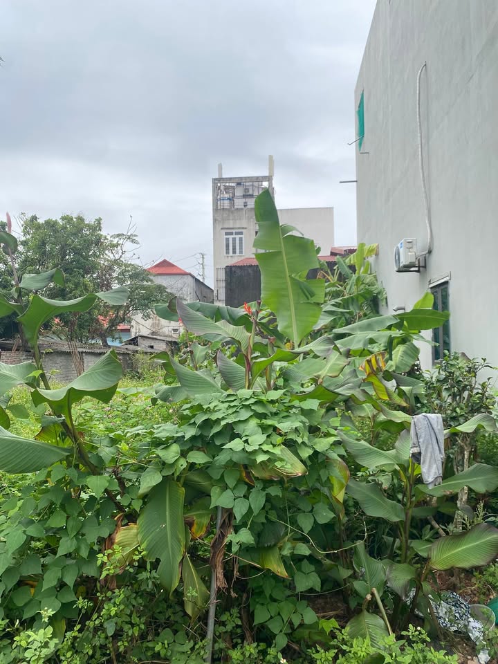 Đất nền trung tâm TT Vôi Lạng Giang 80m² giá 1.4 tỷ - Tiện ích đầy đủ, vị trí thuận lợi!