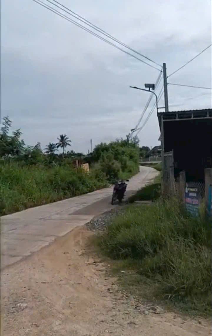 Đất Cây Trồng 1100m² tại Hàm Hiệp - Giá chỉ 600 triệu, Đầu tư sinh lời ngay!