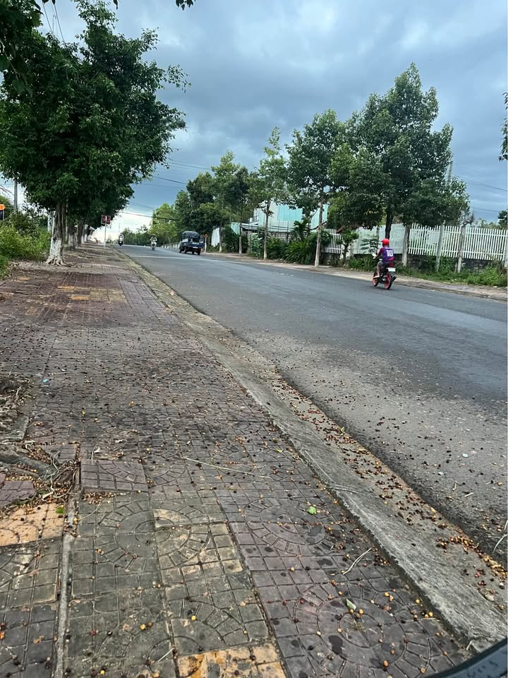 Đất thổ cư Trần Văn Hai, Phường Trường Chinh 500m² - Bán gấp giá chỉ 1.6 tỷ!