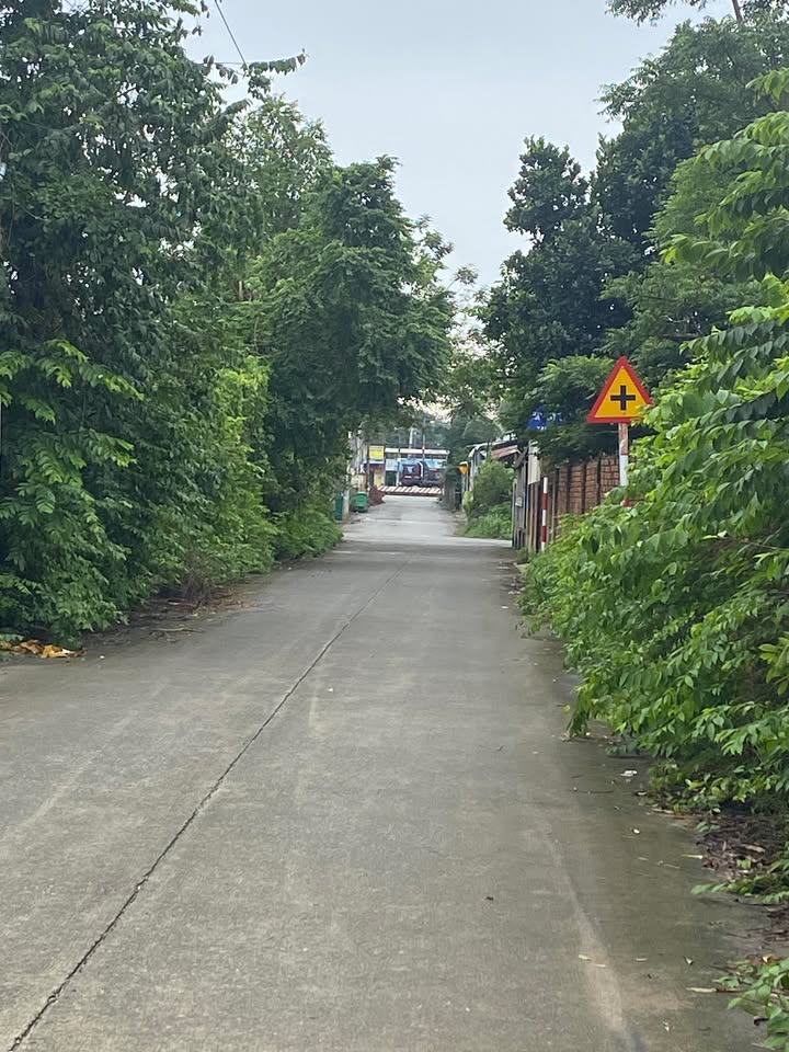 Đất nền Vĩnh Hòa Phú Giáo 240m² giá 1.1 tỷ - Đầu tư sinh lời ngay!