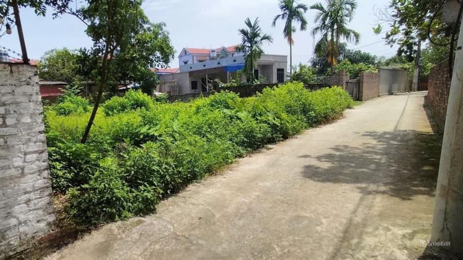 Đất thổ cư 420m² tại Tân Phúc, Trung Giã, Sóc Sơn - Giá 4.2 tỷ, cơ hội đầu tư tuyệt vời!