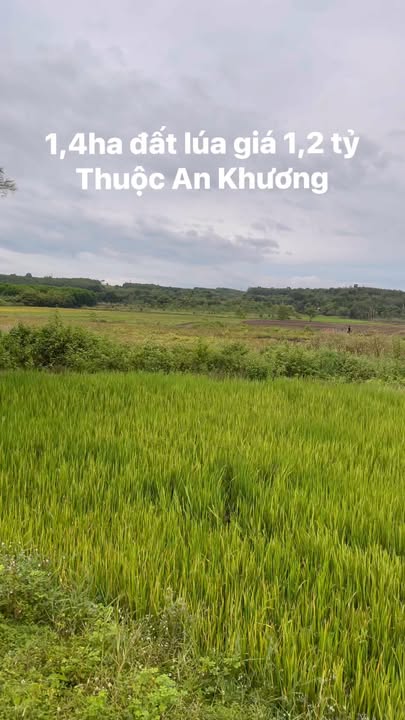 Đất nền An Khương 14.000m² giá 1,2 tỷ - Cơ hội đầu tư hấp dẫn!