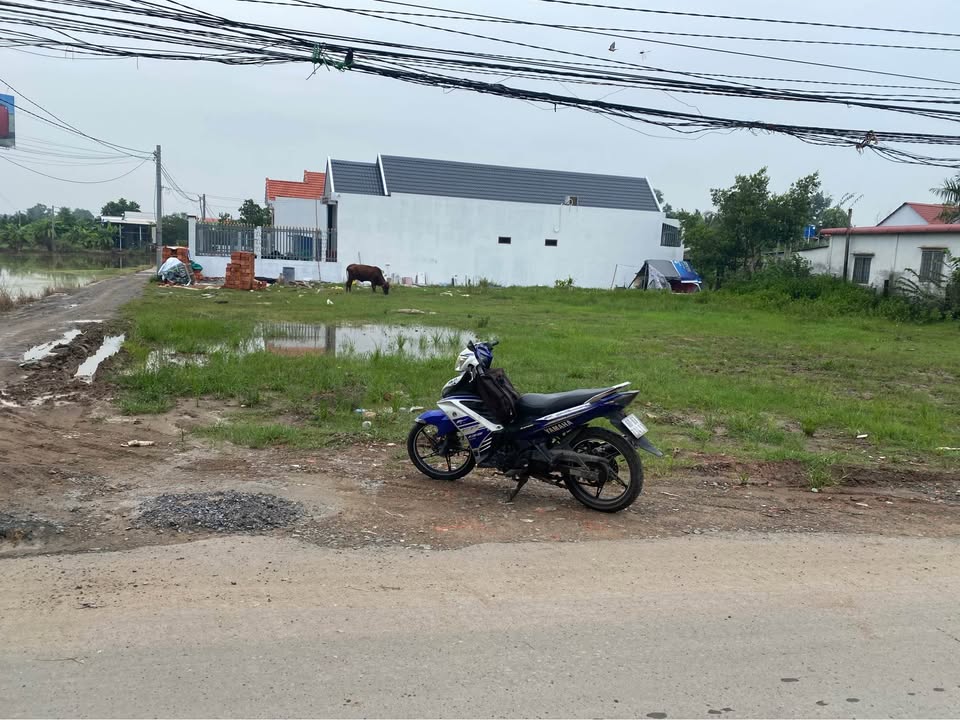 Đất nền Bến Lức 150m² giá 2.5 tỷ - Cơ hội đầu tư hấp dẫn!