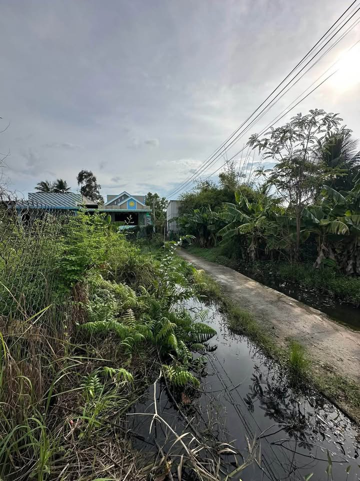 Đất thổ cư phường 5, TP. Tân An 130m² giá 860 triệu - Cơ hội đầu tư tuyệt vời!