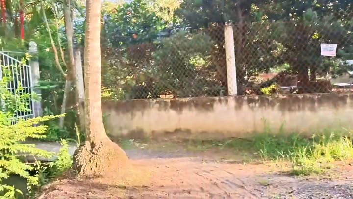 Đất nền 2 mặt tiền ô tô 530m² xã Cẫm Sơn giá 860 triệu - Tiềm năng sinh lời cao!