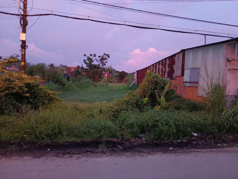 Đất nền Tân Thông Hội, Củ Chi 250m² giá 2.7 tỷ - Đầu tư ngay!