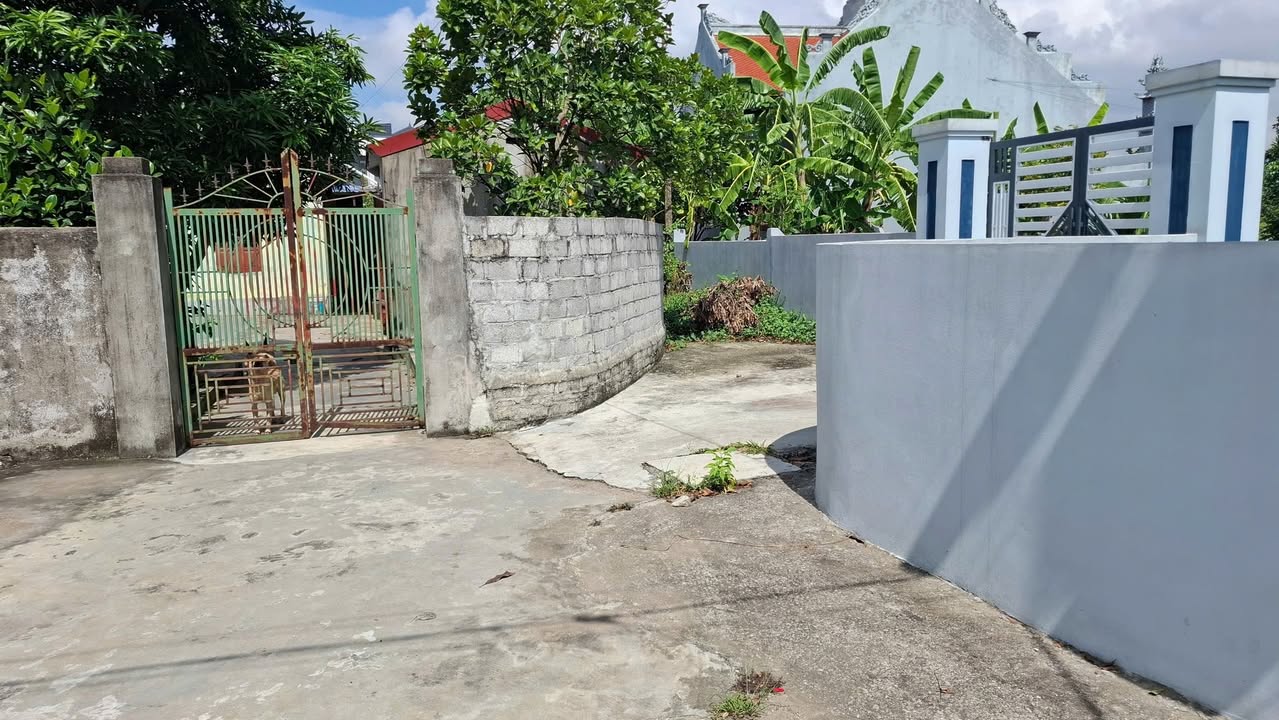 Đất nền Trường Thành, An Lão, Hải Phòng 101m² - Ô tô vào tận nơi!