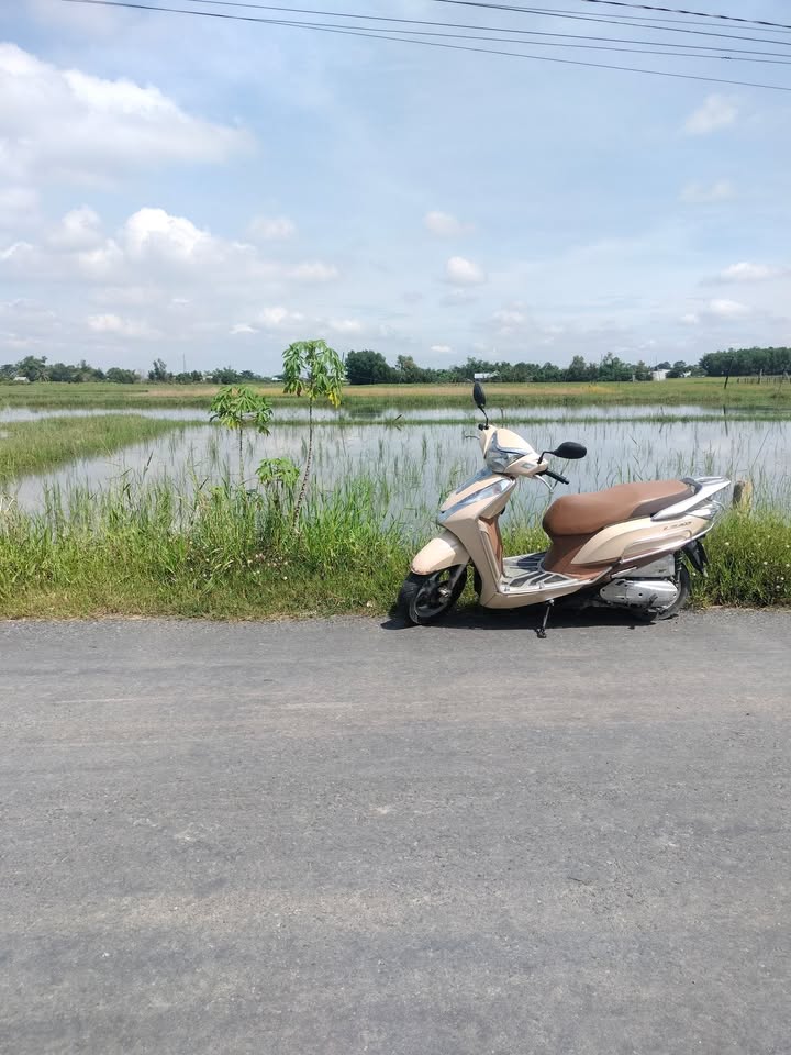 Đất thổ cư Tân Mỹ, Đức Hòa, Long An 270m² giá 2.5 tỷ - Cơ hội đầu tư tuyệt vời!