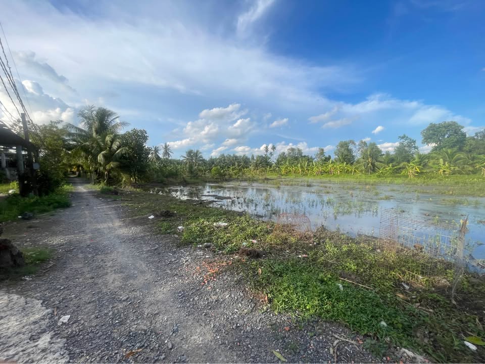 Đất nền Hựu Thạnh, Đức Hoà, Long An 190m² giá 900 triệu - Pháp lý rõ ràng, xây dựng tự do!