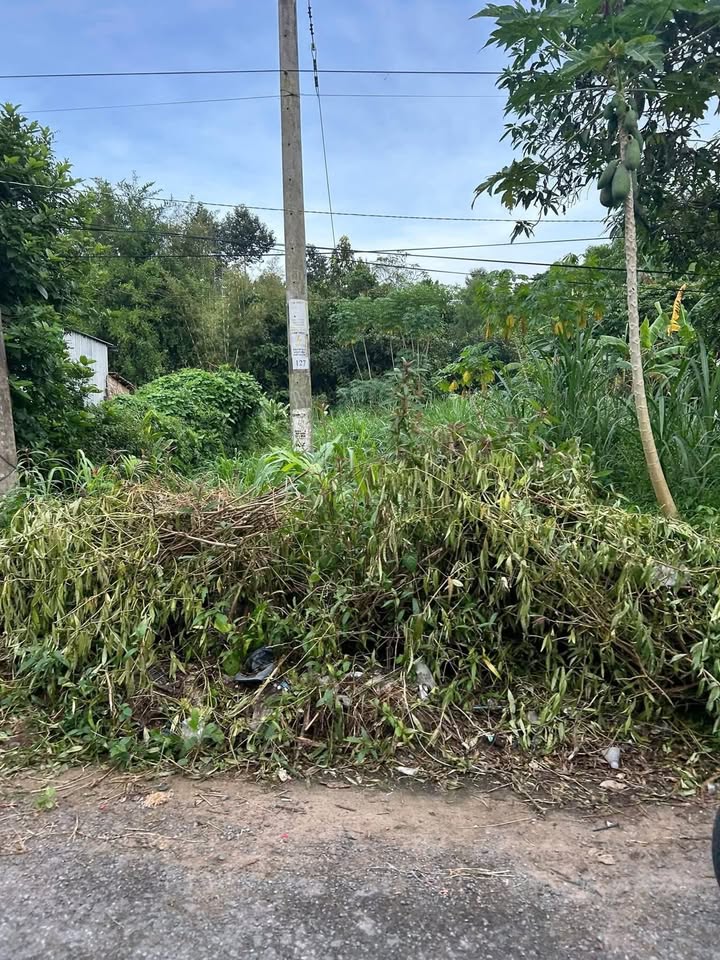 Đất nền 145m² Lưu Nghiệp Anh, Trà Cú giá 400 triệu - Cơ hội đầu tư tốt!