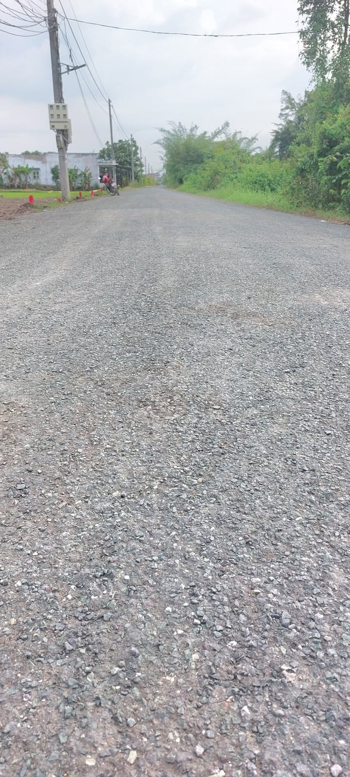 Đất nền mặt tiền đường Võ Phát Thành, Cần Giuộc, 125m² - Giá chỉ 970 triệu!