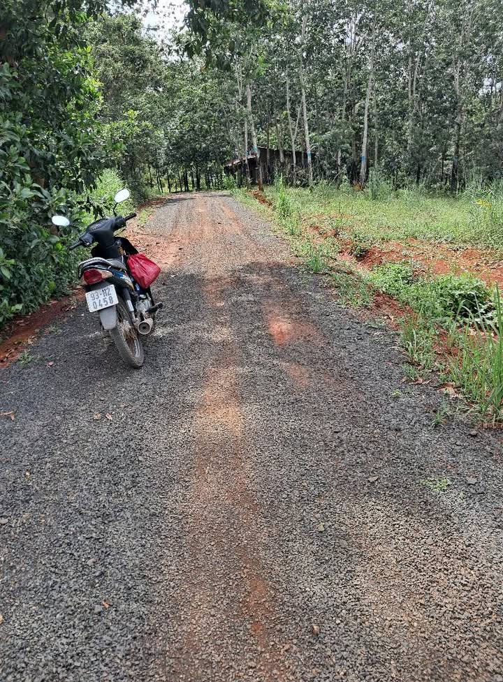 Đất nền 1125m² xã Đồng Tiến, Đồng Phú - Cơ hội đầu tư giá rẻ!