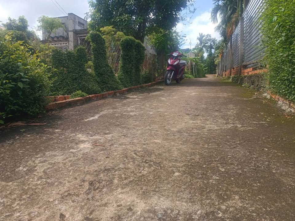 Đất thổ cư Tân Lập, Buôn Ma Thuột 125m² giá 700 triệu - Cần bán gấp!