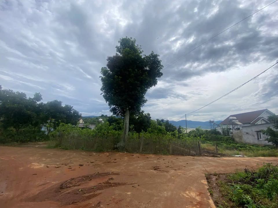 Đất nền 4.000m² tại Nam Ban, Lâm Hà, Lâm Đồng - Giá thương lượng hấp dẫn!