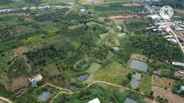 Đất nền 8.200m² tại Xuân Phú, Ea Kar - Giá chỉ 1.25 tỷ - Bán gấp!