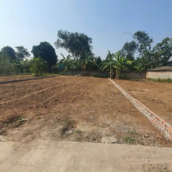 Đất nền Ngọc Nhị, Cẩm Lĩnh 210m² giá chỉ 1 tỷ - Cơ hội vàng đầu tư!