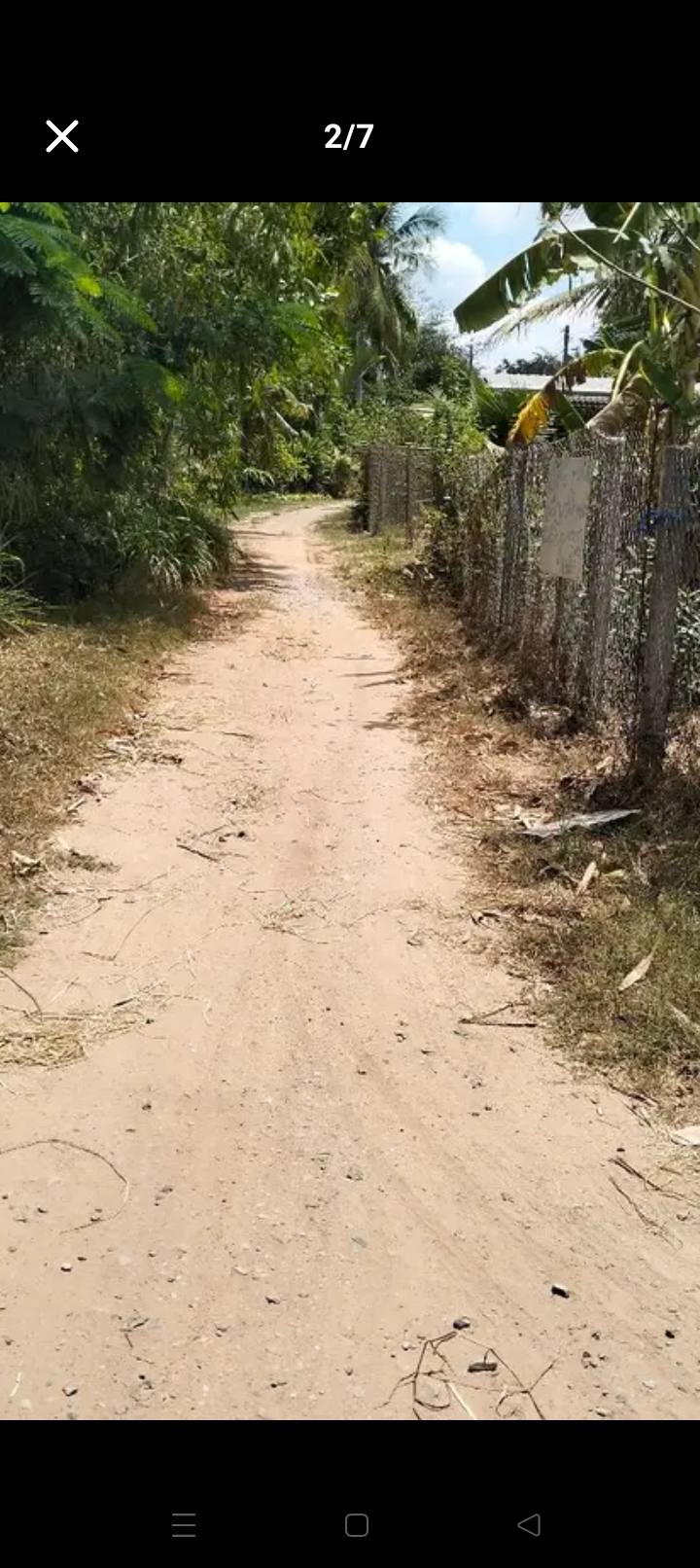 Bán đất vườn dừa 6100m² tại xã Huyền Hội, Càng Long - Giá chỉ 1.75 tỷ!