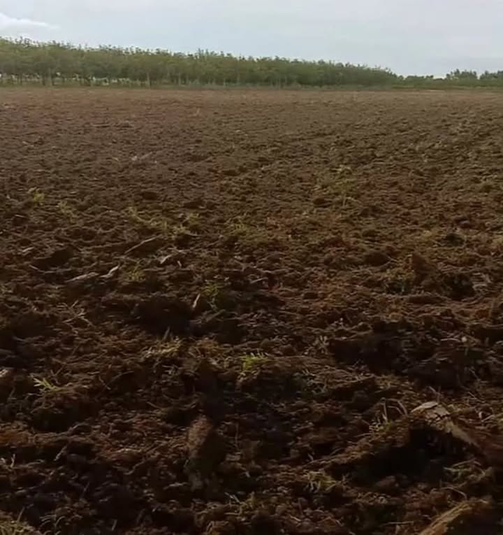 Đất nền Sùng Nhơn, Đức Linh 15,000m² giá 4.968 tỷ - Sổ sách đầy đủ, chính chủ!