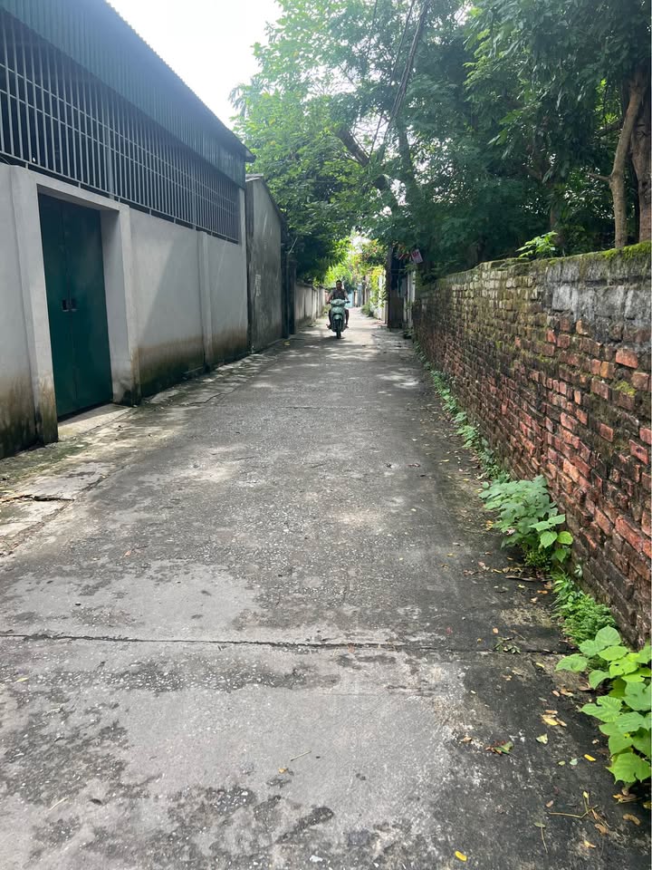 Nhà cấp 4 phường Trần Hưng Đạo 57,5m² giá 1,xx tỷ - Kinh doanh thuận lợi!