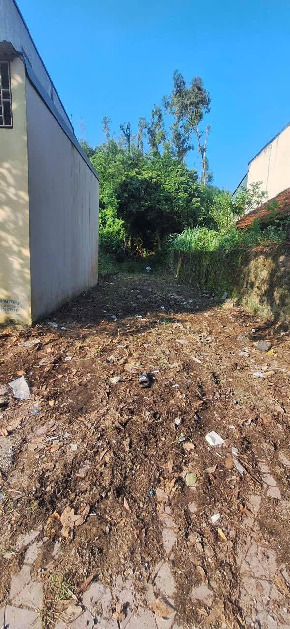 Đất nền Rừng Thông Đông Sơn 118m² giá 2 tỷ - Cơ hội đầu tư hấp dẫn!