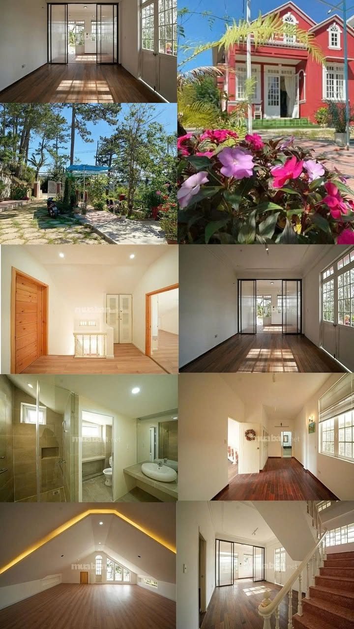 Nhà nguyên căn có sân vườn tại Đà Lạt 630m² - Thích hợp làm homestay