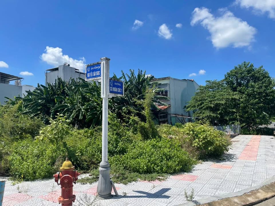 Bán đất đẹp khu Nam cầu Cẩm Lệ 161m² giá 7.9 tỷ - Vị trí đắc địa, pháp lý rõ ràng!