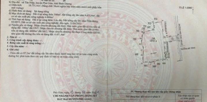 Đất SKC Tân Hiệp, Phú Giáo 11.000m² giá 17 tỷ - Cơ hội đầu tư hấp dẫn!