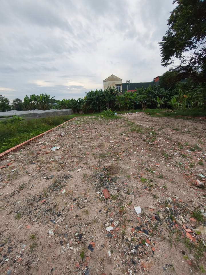 Đất nền Hóc Môn 148m² giá 4.5 tỷ - Sổ hồng riêng, gần chợ và trường học!