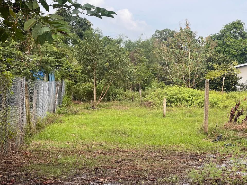 Đất thổ cư 205m² khu phố Phước Hậu, Gò Dầu - Giá 650 triệu, thương lượng nhẹ!