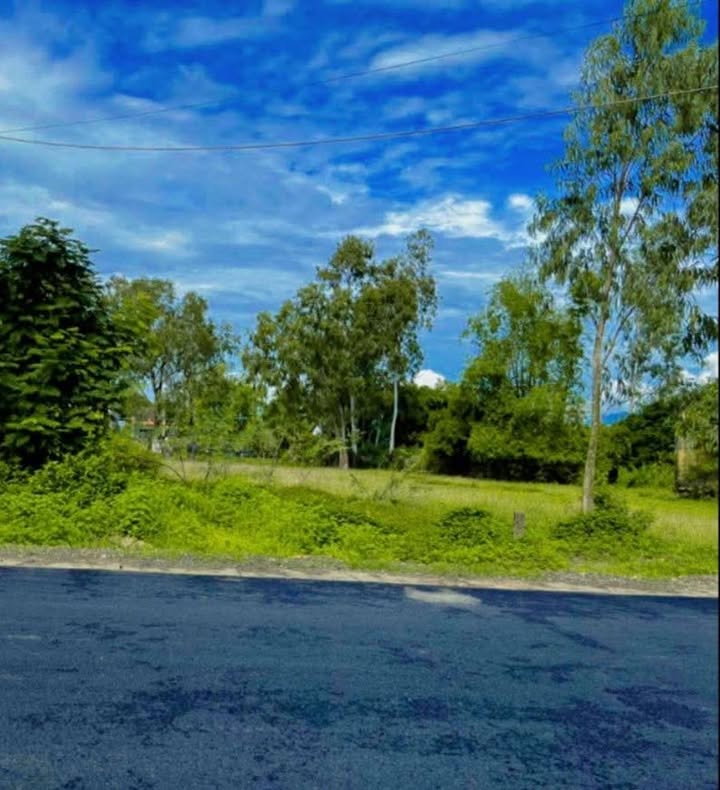 Đất Hòa Nhơn Đà Nẵng 227m² giá chỉ 1,X tỷ - Cơ hội đầu tư tuyệt vời!