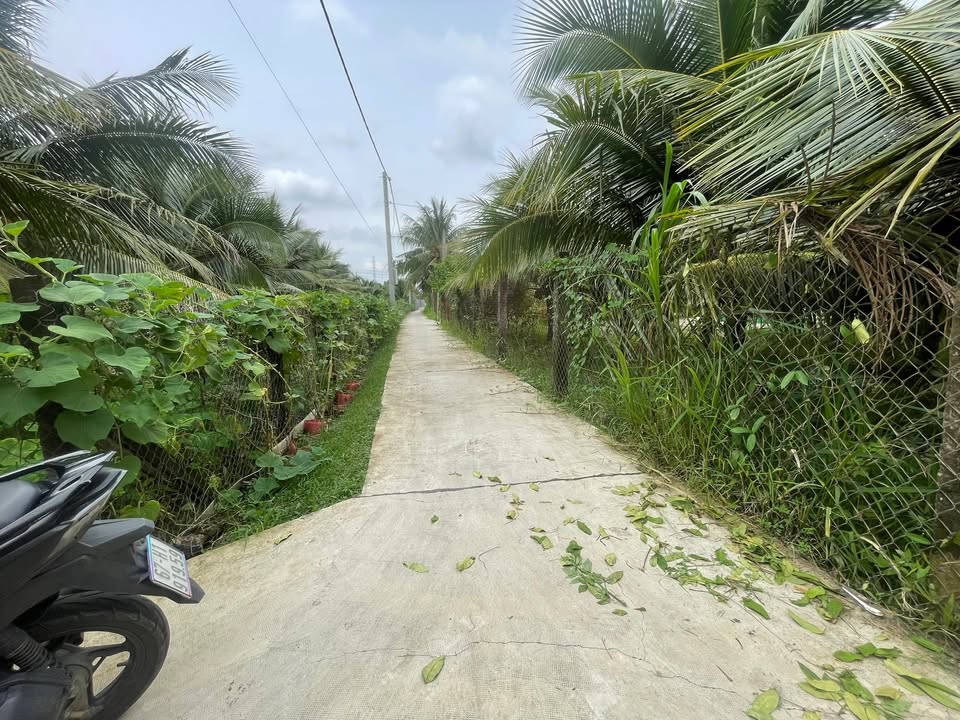 Đất nền 945m² tại Khánh Hậu, Tân An - Giá 1.2 tỷ, Sổ đỏ chính chủ!