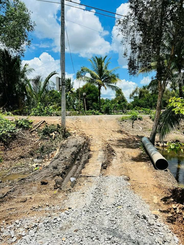 Đất vườn 5.260m² tại Bình Đức, Bến Lức chỉ 450 triệu - Cơ hội đầu tư tuyệt vời!