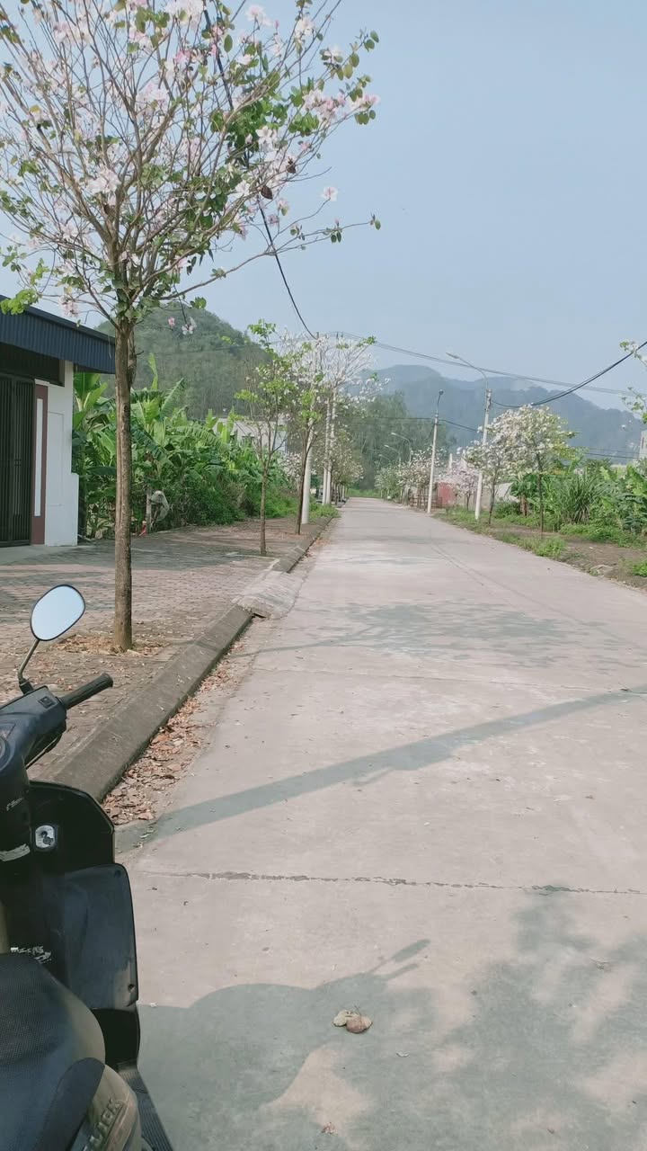 Đất nền Tân Bình, Tam Điệp 150m² giá 1 tỷ - Đầu tư sinh lời ngay!