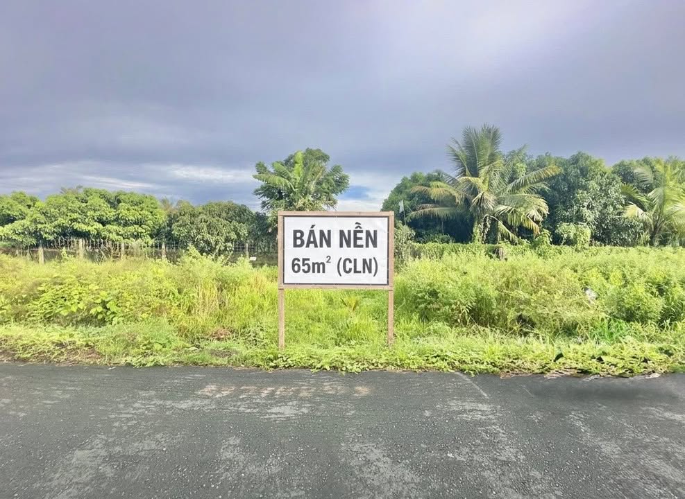 Đất nền mặt tiền đường Nguyễn Viết Xuân 65m² giá 520 triệu - Vị trí đắc địa gần chợ và trạm y tế!
