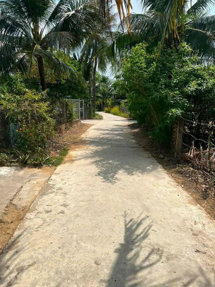 Đất nền Ninh Bình Khánh Hòa 313m² - Vị trí đắc địa cho đầu tư