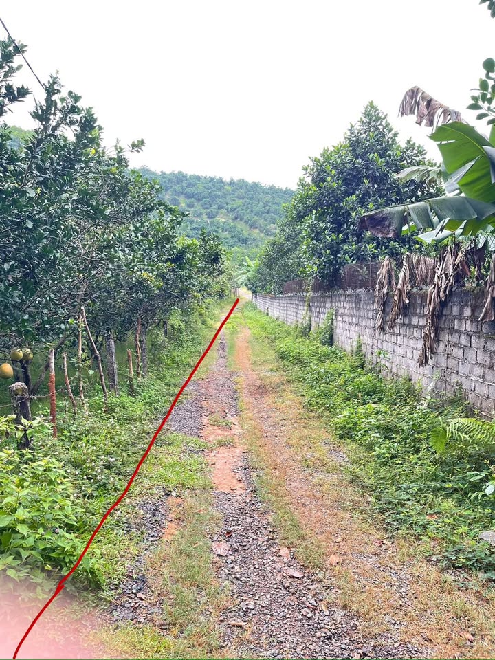 Lô góc Farm 2.224m² Tân Lạc - Hòa Bình, giá chỉ 1.5 tỷ - Cơ hội đầu tư hiếm có!