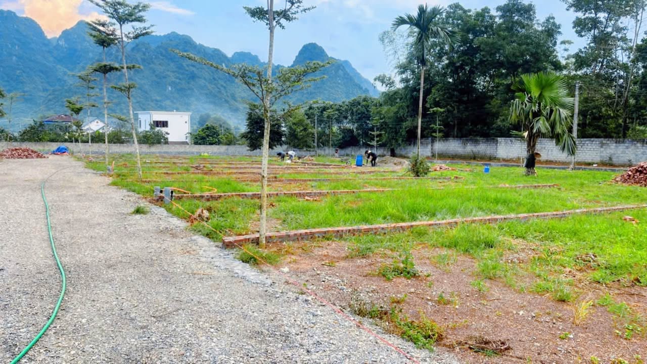 Đất nền chính chủ Bảo Hiệu - Yên Thủy 100m² chỉ 500 triệu - Cơ hội đầu tư hấp dẫn!