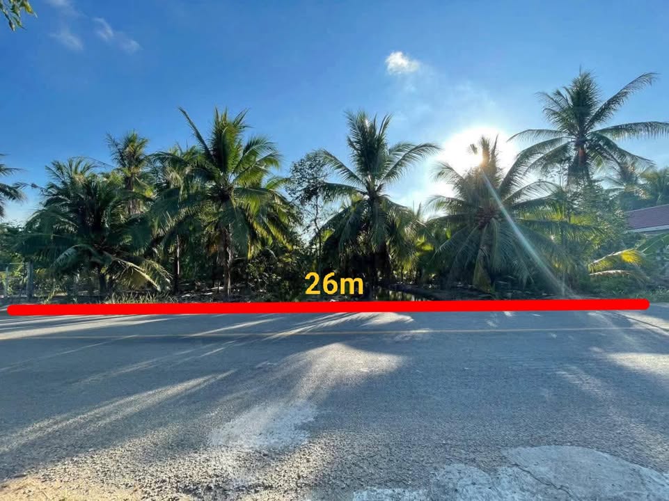 Đất trồng dừa Châu Bình, Giồng Trôm 50000m² - Tiềm năng phát triển lớn!