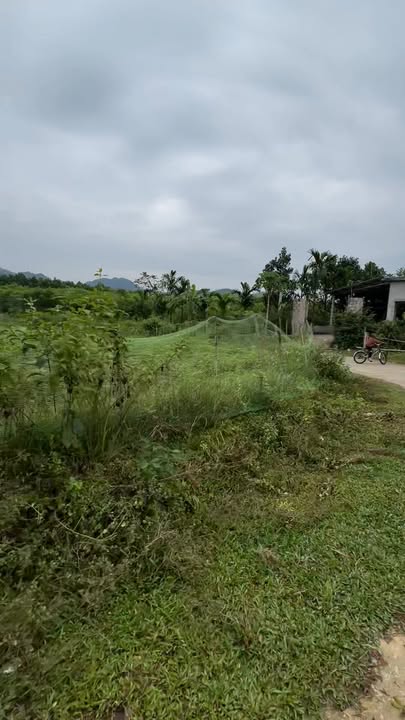 Đất Farm Dũng Tiến Kim Bôi 1000m² giá 1.1 tỷ - Lô góc 2 mặt tiền hấp dẫn!