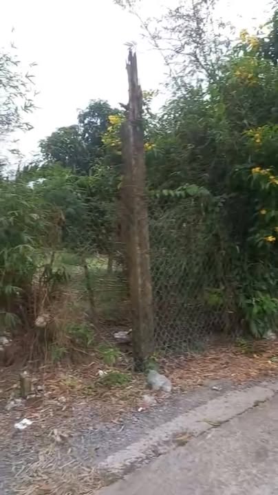 Đất vườn 1900m² tại Bình Chánh - Giá 16 tỷ, thương lượng tốt!