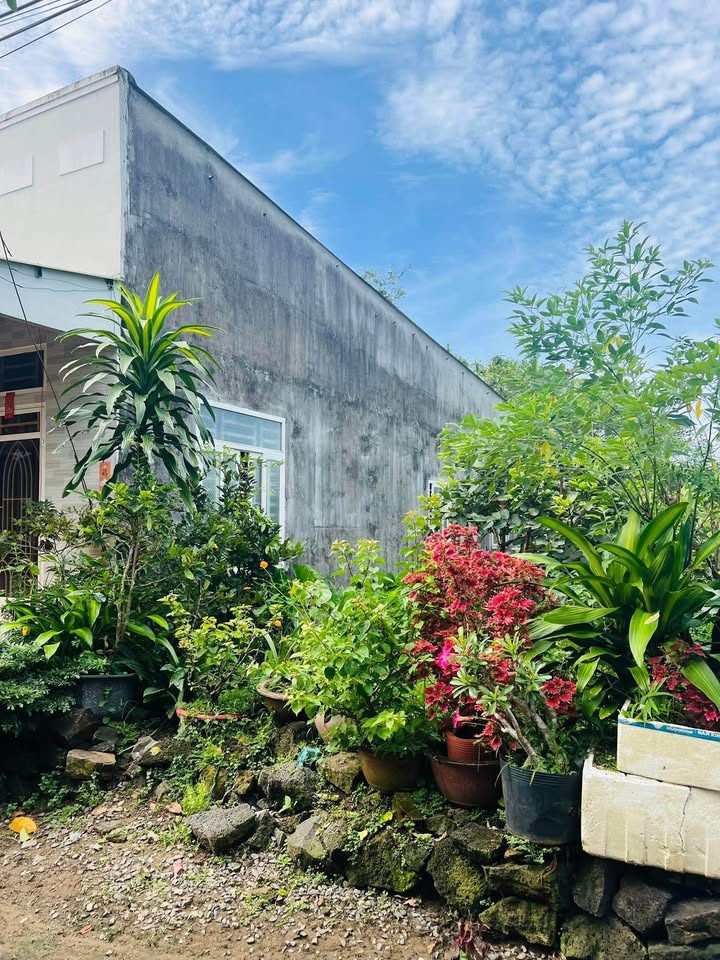 Đất nền 150m² Phú Tân, Định Quán - Cách Quốc Lộ 20 chỉ 50m, Giá tốt đầu tư!