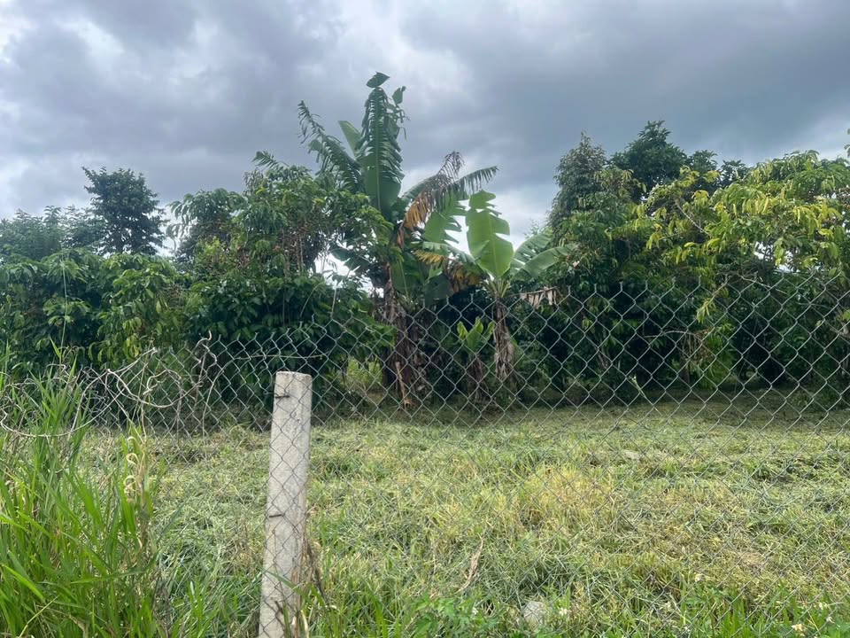 Lô đất Lộc Nam, Bảo Lâm 930m² giá 1.5 tỷ - Đầu tư sinh lời ngay!