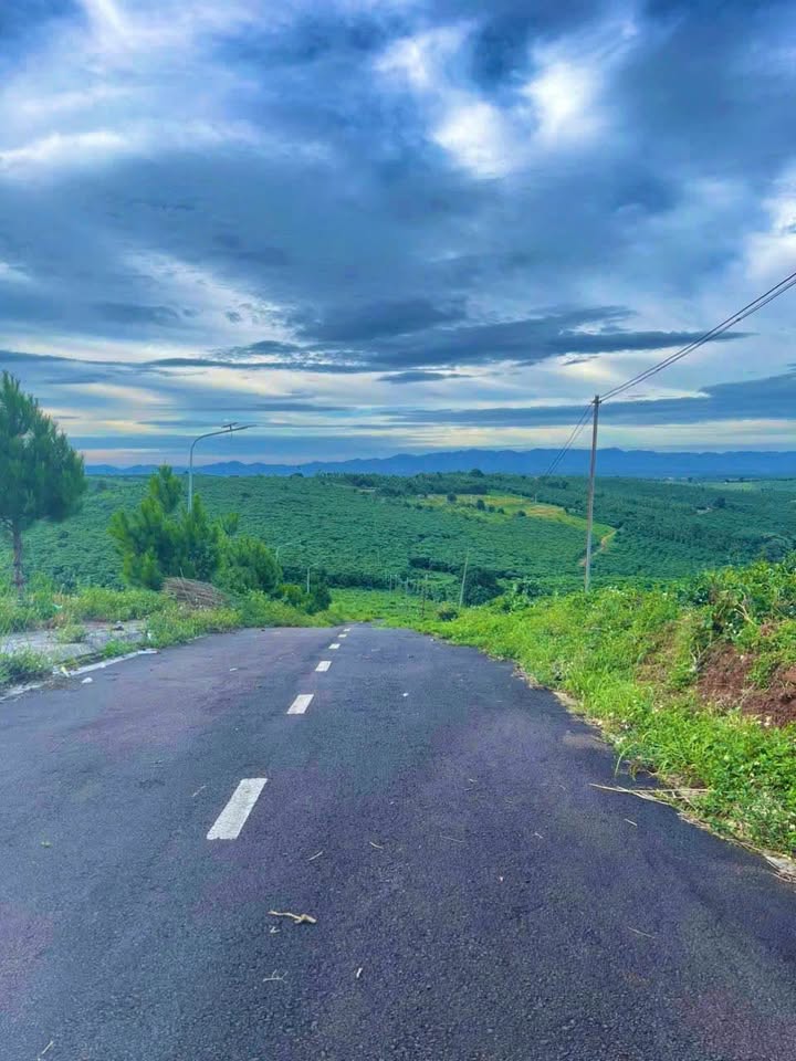 Đất thổ cư Lộc Quảng, Bảo Lâm 8280m² giá 1,4 tỷ - Thích hợp đầu tư nghỉ dưỡng!