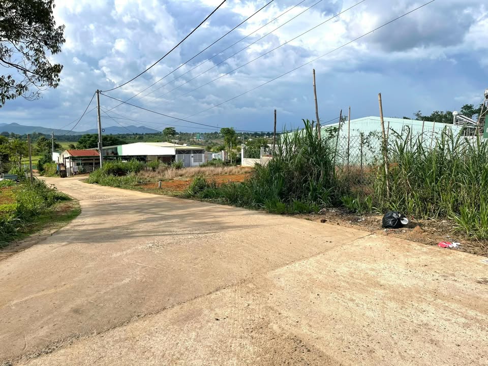 Đất mặt tiền đường Văn Cao, Pleiku 275m² giá 1.299 tỷ - Cơ hội đầu tư hấp dẫn!