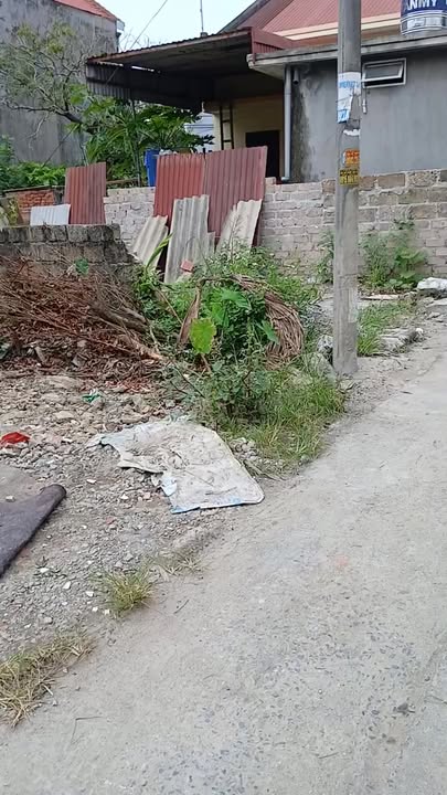 Đất nền 118m² tại Thôn Đông, Lâm Động - Vị trí thuận lợi, giá tốt cho đầu tư!