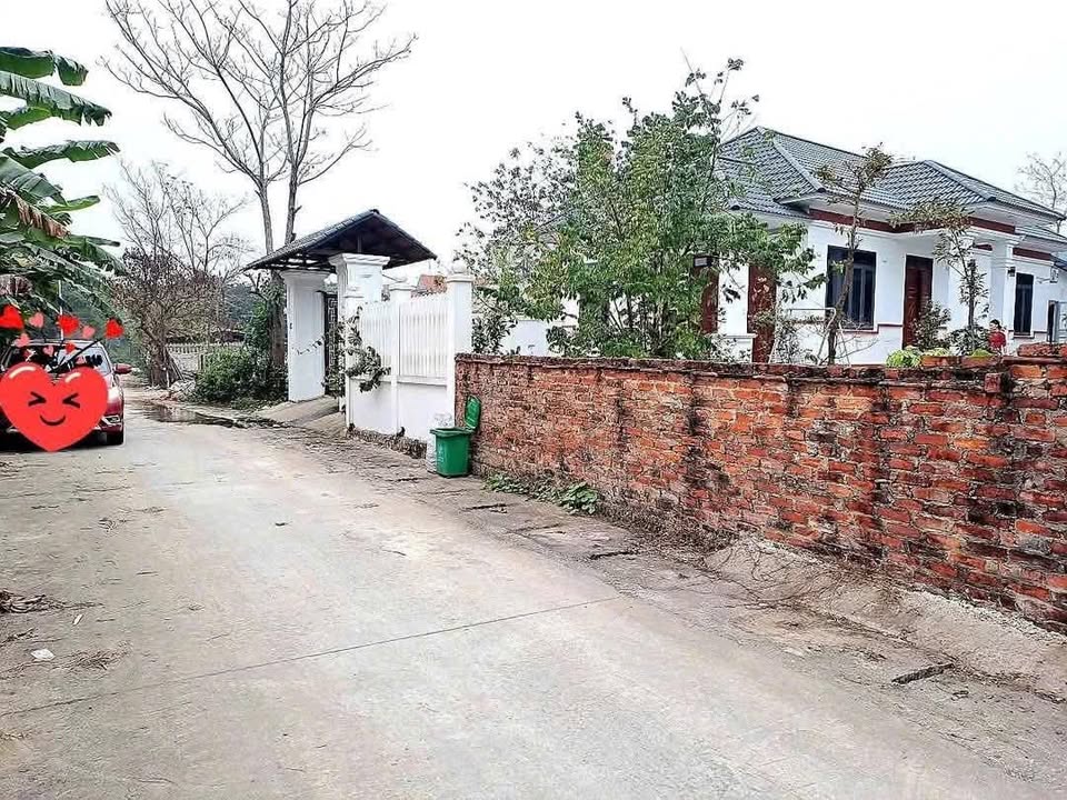 Đất nền đẹp 2 mặt tiền tại Thanh Vân, Tam Dương - Đầu tư sinh lời ngay!